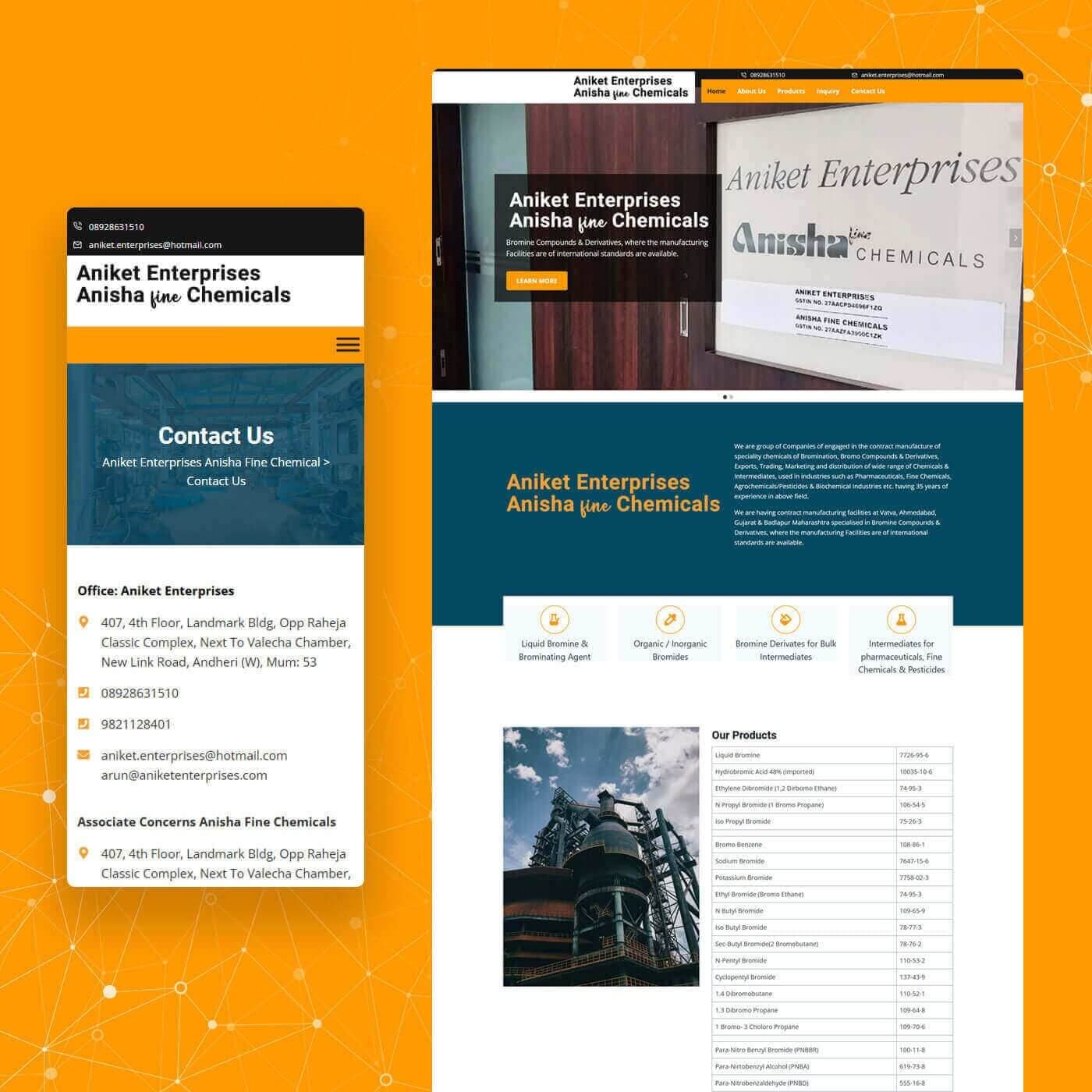 Aniket Enterprises website homepage